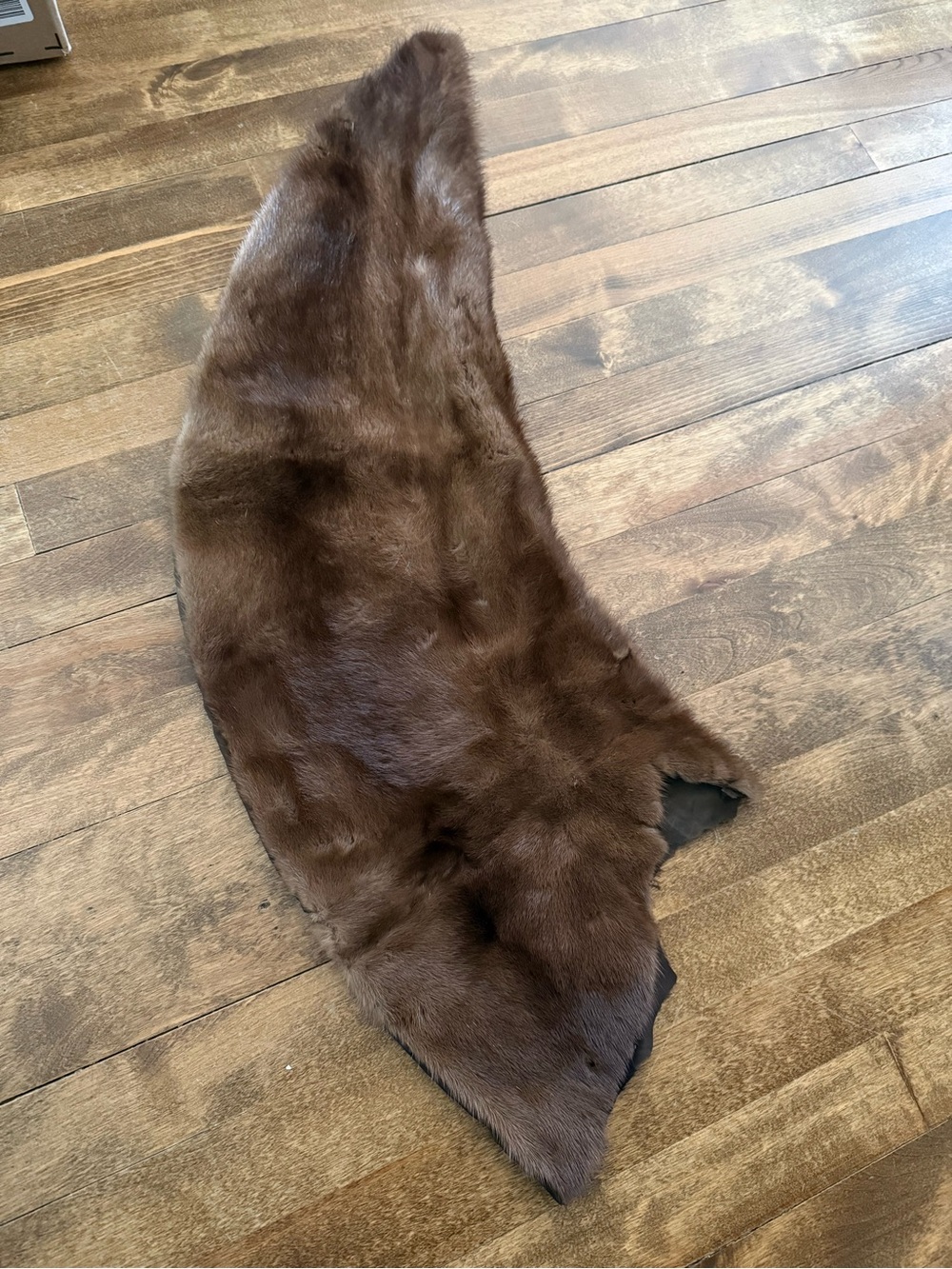 *To be repurposed* Vintage fur, scrap piece - Picture 2 of 3